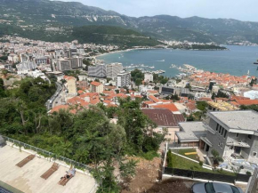 Amazing Budva coastline view apartment